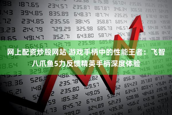 网上配资炒股网站 游戏手柄中的性能王者：飞智八爪鱼5力反馈精英手柄深度体验