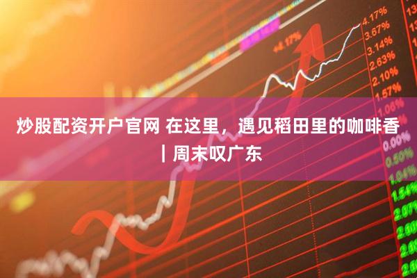 炒股配资开户官网 在这里,遇见稻田里的咖啡香|周末叹广东
