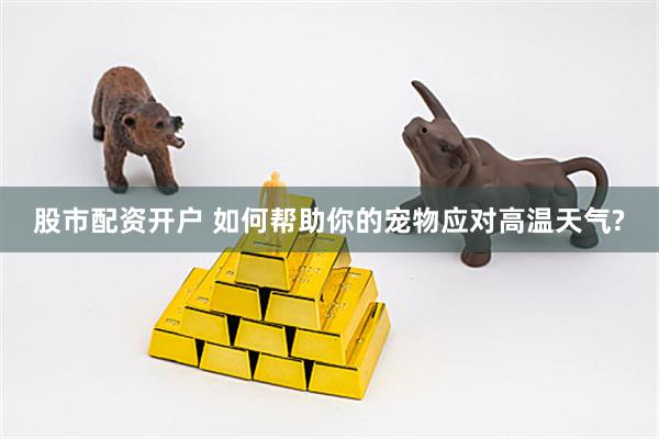 股市配资开户 如何帮助你的宠物应对高温天气?