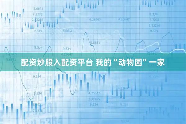 配资炒股入配资平台 我的“动物园”一家